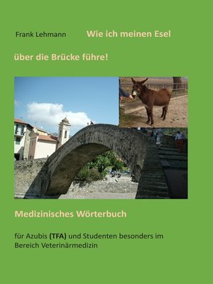 cover image of Wie ich meinen Esel über die Brücke führe
